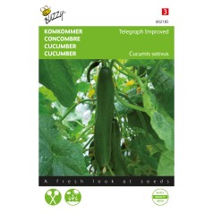 Agurkefrø, Telegraph