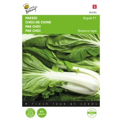 Pak choi frø, Bopak F1