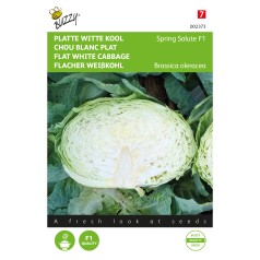 Hvidkål frø, Spring Salute F1