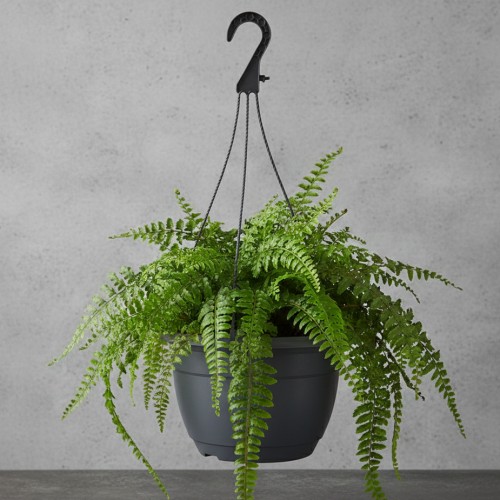 Ampel, Antracit 27 cm.