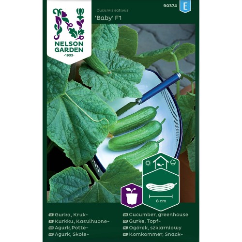 Skoleagurk frø, Baby F1