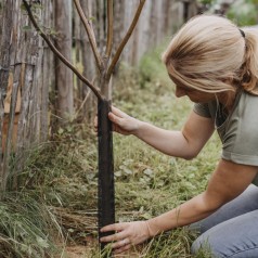 Vildtbeskyttelsesnet 80 cm...