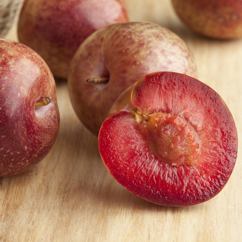 Abrikosblomme Dapple Dandy - Prunus pluot Dapple Dandy