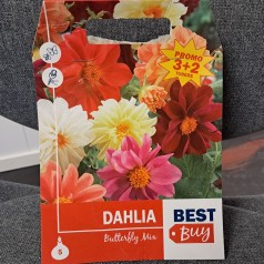 Dahlia Butterfly Mix -...