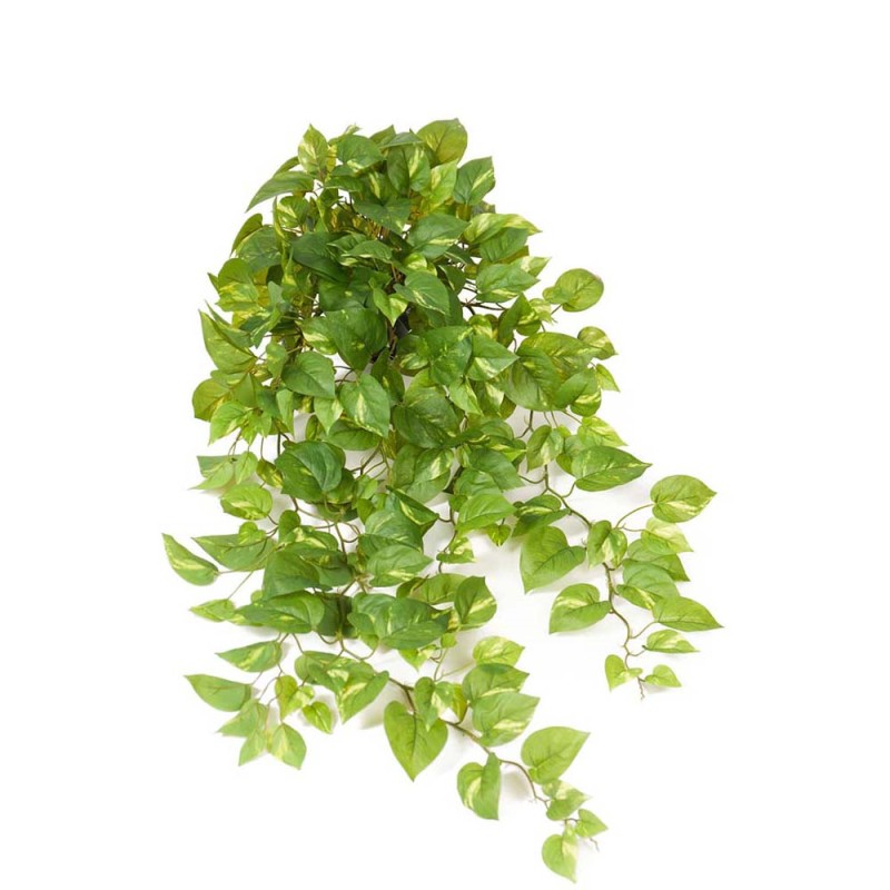 Guldranke 100cm - Kunstig potteplante