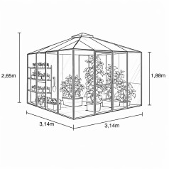 Fortuna Drivhus 10,2 m2 - Sort - 3mm hærdet glas - Polycarbonat Tag
