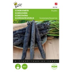 Skorzonerrod frø, Duplex -...