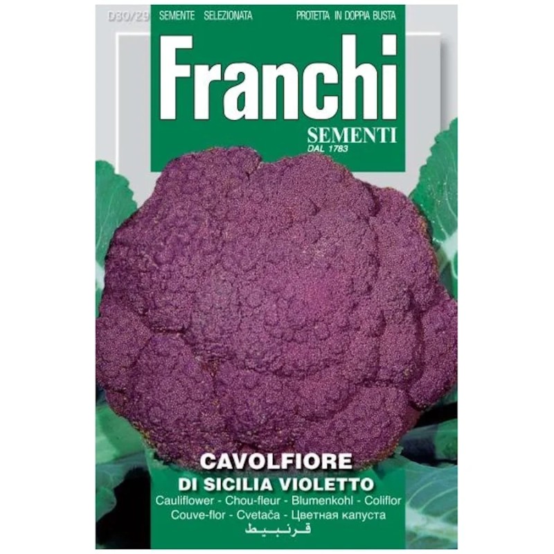 Blomkålfrø, Sicilia Violetto
