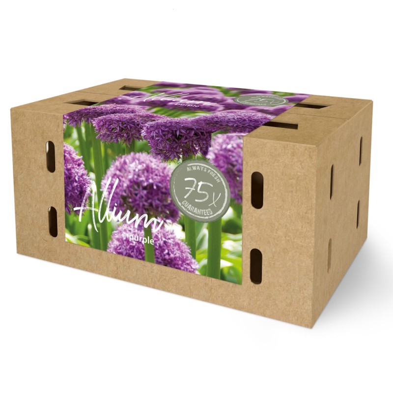 Prydløg - Farmers Market Box 75 Løg