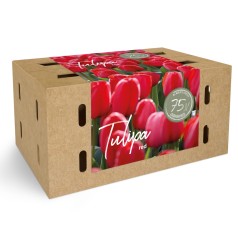 Tulipaner rød - Farmers Market Box 75 Løg