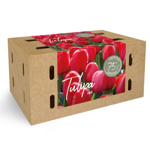 Tulipaner rød - Farmers Market Box 75 Løg