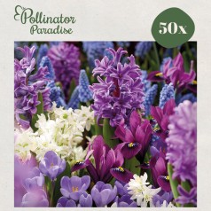 Blomsterløgsmix, Wild Whispers - Pollinator Paradise