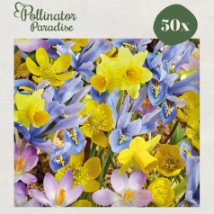 Blomsterløgsmix, Honey Highway - Pollinator Paradise