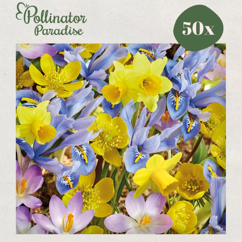 Blomsterløgsmix, Honey Highway - Pollinator Paradise