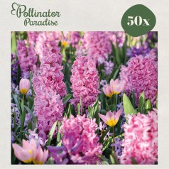 Blomsterløgsmix, Sweet Romance - Pollinator Paradise