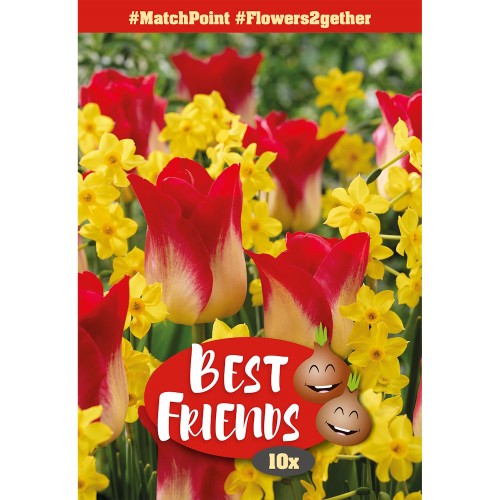 Blomsterløg mix - Match Point, Best Friends 10 løg