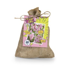 Blomsterløg mix - POP UP!...