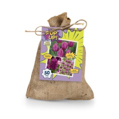Blomsterløg mix - POP UP!...