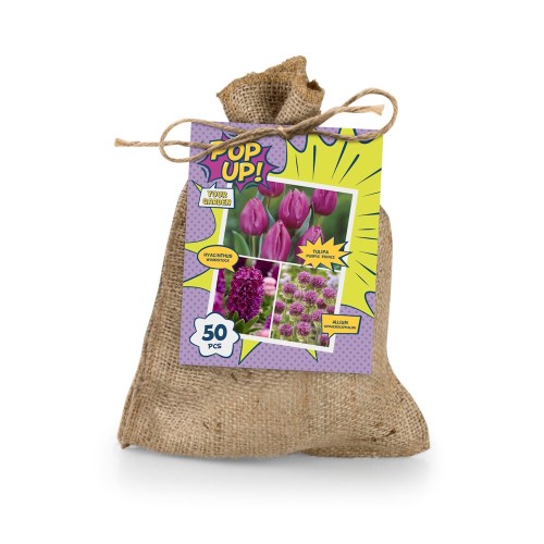 Blomsterløg mix - POP UP! Purple Bag, 50 løg
