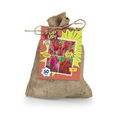 Blomsterløg mix - POP UP!...