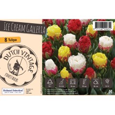 Blomsterløg mix - Ice Cream...