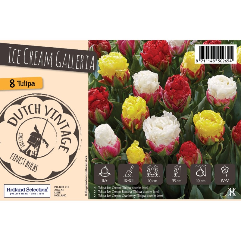 Blomsterløg mix - Ice Cream Galleria, Dutch Vintage 8 Løg