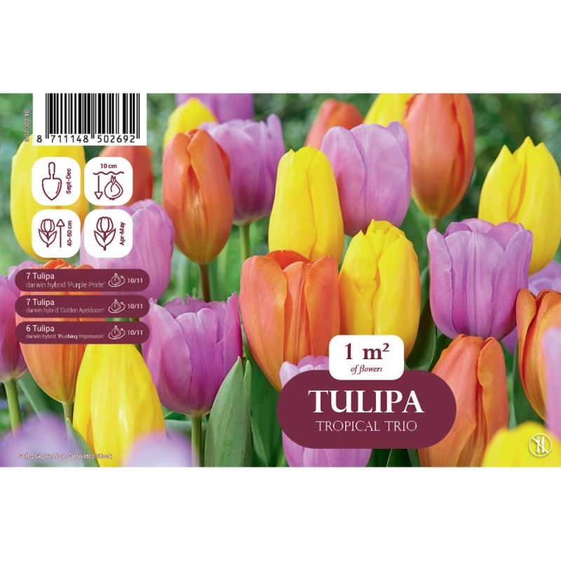 Tulipanløg mix - Tropical Trio, Landscape 20 Løg