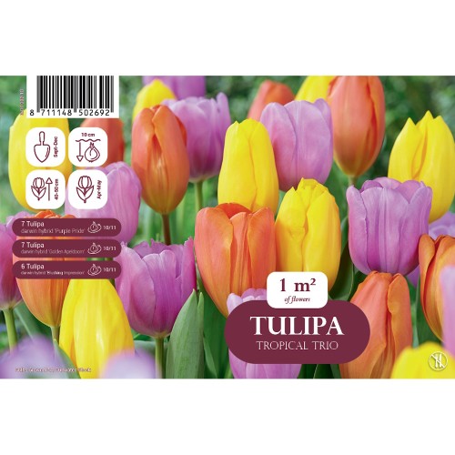 Tulipanløg mix - Tropical Trio, Landscape 20 Løg