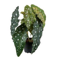 Kunstig Forel begonia 30 cm.