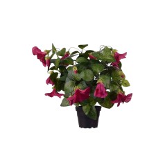 Kunstig Petunia 30 cm, Rød