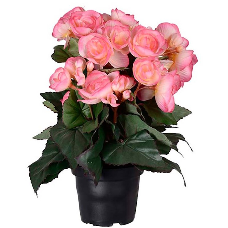 Begonia, Pink - Kunstig potteplante