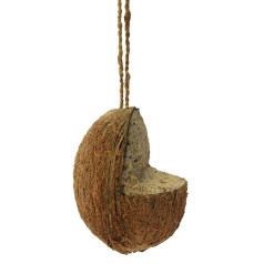 Kokosnød m/indhak