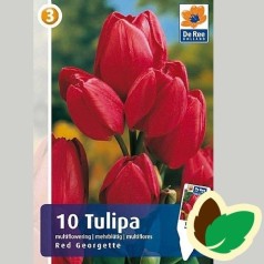 Tulipanløg Red Georgette - Multiblomstrende Tulipan / 10 Løg