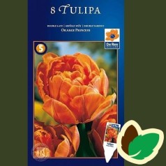 Tulipanløg Orange Princess / Dobbelt Tulipan - 8 Løg