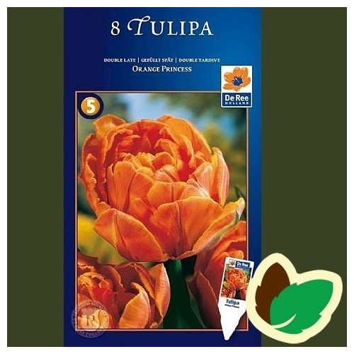 Tulipanløg Orange Princess / Dobbelt Tulipan - 8 Løg