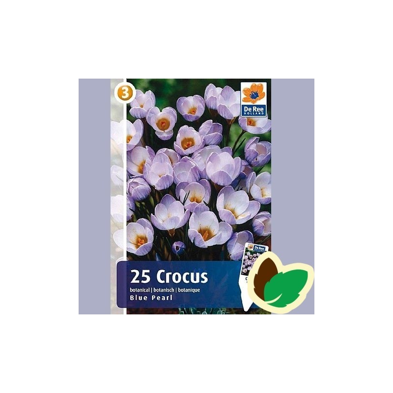 Krokusløg Blue Pearl - Crocus / 25 Løg