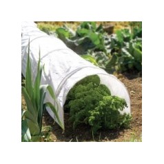 Net til jordbær - Køb effektive beskyttelsesnet her | Kridtvejs Planter