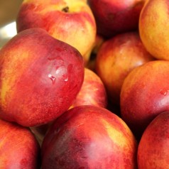 Nektarin Træer - Bestil Online & Få Leveret