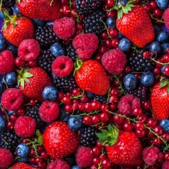 Køb Bærbuske - Stort Udvalg Online