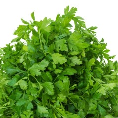 Køb Persille - Flerårige Krydderurter Online