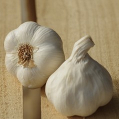 Hvidløg til køkkenhaven | Stort udvalg & hurtig levering