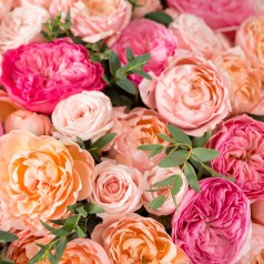 Køb roser efter farve og duft | Stort udvalg
