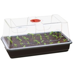 Minidrivhus til forspiring – Stort udvalg | Kridtvejs Planter