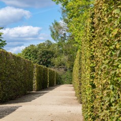 Gødning til hæk - Stort udvalg til Bøg, Liguster & Laurbær
