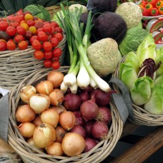 Frø, Løg & Læggekartofler - til blomsterbedet & køkkenhaven