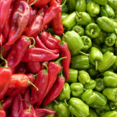 Peberfrø & Chilifrø | Stort udvalg i urte- & grøntsagsfrø