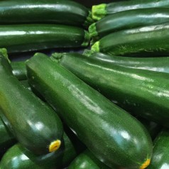 Squash frø | Stort udvalg i Squash- & Grøntsagsfrø