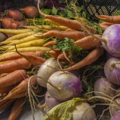 Grøntsags Frø - Stort udvalg i urte & grøntsagsfrø | Hurtig levering