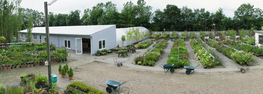Kridtvejs PLanter